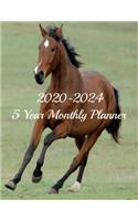 2020-2024 5 Year Monthly Planner