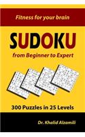 Sudoku from Beginner to Expert