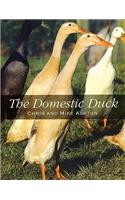 The Domestic Duck