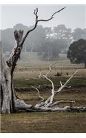 The Australian Outback Notebook: 150 lined pages, softcover, 6 x 9