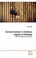 Cervical cancer in Amhara region in Ethiopia