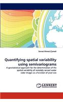 Quantifying Spatial Variability Using Semivariograms