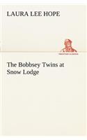 Bobbsey Twins at Snow Lodge