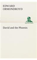 David and the Phoenix