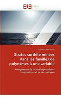 Strates Surd�termin�es Dans Les Familles de Polyn�mes � Une Variable: (Omn.Univ.Europ.)