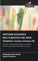 GESTIONE ECOLOGICA DELL'ALBICOCCA DEL RISO, Sitophilus oryzae Linnaeus IN