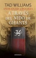 Anoranzas y pesares no 03/04 A traves del nido de ghants