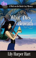 What Dies Beneath: (9 A Witch on the Rocks Cozy Mystery)