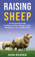 Raising Sheep: An Essential Guide on How to Raise Sheep in Your Backyard or on a Small Farm