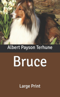 Bruce: Large Print