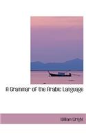 A Grammar of the Arabic Language