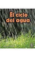 El ciclo del agua (Earth's Water Cycle)