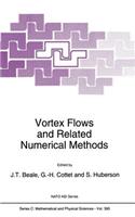 Vortex Flows and Related Numerical Methods