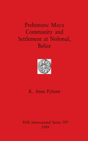 Prehistoric Maya Community and Settlement Atnohmul, Belize