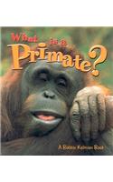 What Is a Primate?