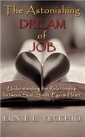 Astonishing Dream of JOB