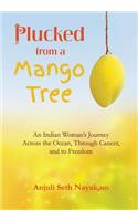 Plucked from a Mango Tree