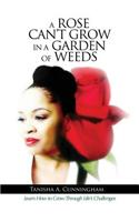 Rose Can't Grow in a Garden of Weeds