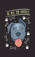 To All My Haters