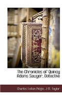 The Chronicles of Quincy Adams Sawyer, Detective