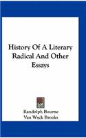 History Of A Literary Radical And Other Essays