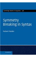 Symmetry Breaking in Syntax: (Cambridge Studies in Linguistics)
