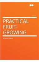 Practical Fruit-Growing