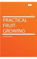 Practical Fruit-Growing