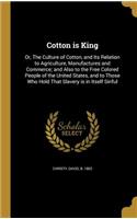 Cotton is King