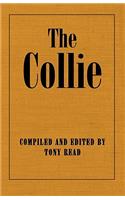 Collie Or Sheepdog In Show And Work - Its History & Origins