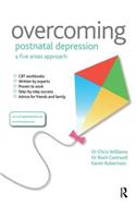 Overcoming Postnatal Depression: A Five Areas Approach