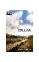 NIV E100 Bible