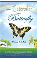 From a Caterpillar into a Butterfly: (English)