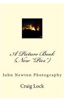 A Picture Book (New 