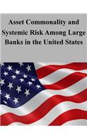 Asset Commonality and Systemic Risk Among Large Banks in the United States