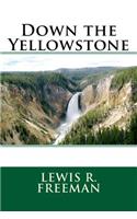 Down the Yellowstone