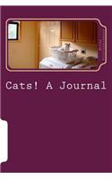 Cats! A Journal
