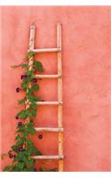 Santa Fe Ladder: Unlined notebook