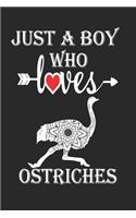 Just a Boy Who Loves Ostriches: Gift for Ostriches Lovers, Ostriches Lovers Journal / Notebook / Diary / Birthday Gift