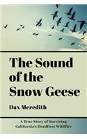 Sound of the Snow Geese
