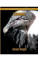 Condor