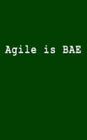 Agile Is Bae