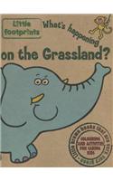 What's Happening on the Grassland?