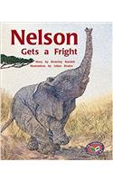 Nelson Gets a Fright
