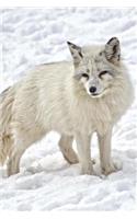 White Arctic Fox in the Snow Journal: 150 Page Lined Notebook/Diary