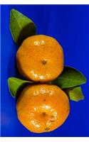 Mandarin Fruit Journal