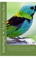 True Freedom Now: Experiencing God's Best; Life Away from the Drudgery and Doing What You Want, Right Here, Right Now, Every Day. It's Important to Help the Poor.
