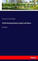 Profit-sharing between capital and labour