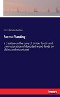 Forest Planting