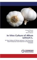 In Vitro Culture of Allium Sativum L.